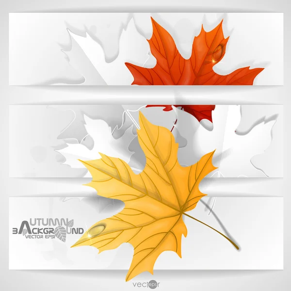 Autumn Leaves Background — Stock Vector