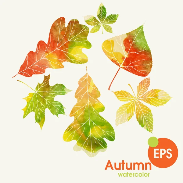 Autunno sfondo con foglie — Vettoriale Stock