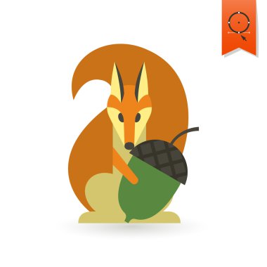 Meşe palamudu tutan sincap