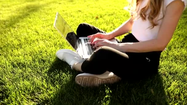 Joven hermosa mujer con gafas sentadas sobre hierba verde en un parque en un día de verano, utiliza un ordenador portátil, concepto de negocio — Vídeos de Stock