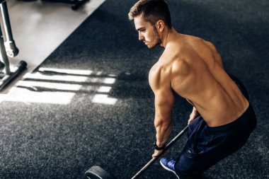 Genç kaslı bir adam spor salonunda halterle çalışıyor. Tişörtsüz atletik bir adam kol kaslarını çalıştırır ve halter egzersizi yapar.