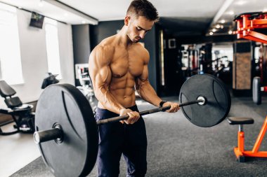 Genç kaslı bir adam spor salonunda halterle çalışıyor. Tişörtsüz atletik bir adam kol kaslarını çalıştırır ve halter egzersizi yapar.