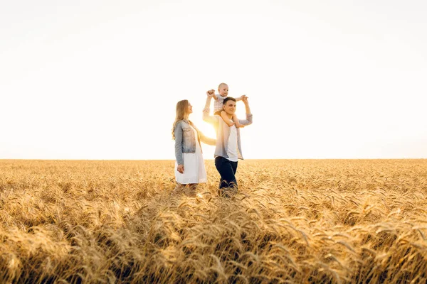 Happy family on a summer walk, mother, father and child walk in the wheat field and enjoy the beautiful nature, at sunset