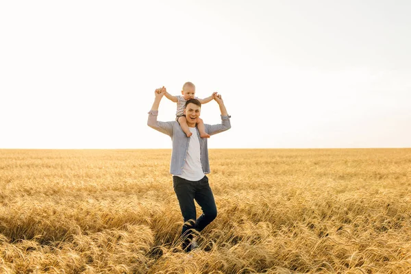 Щаслива Сім Молодий Батько Маленьким Сином Ходить Пшеничному Полі Заході — стокове фото