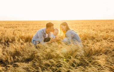 Mutlu bir yaz yürüyüşü yapan aile, anne, baba ve çocuk buğday tarlasında yürüyor ve gün batımında güzel doğanın tadını çıkarıyor.
