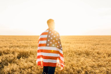 Amerikan bayrağını tutan genç adam buğday tarlasında dikilirken mavi gökyüzü arka planında