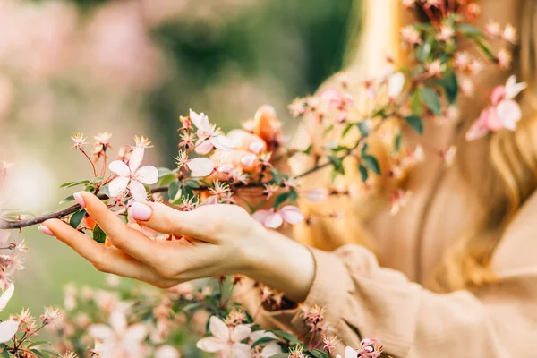 Çiçek açan meyve ağaçları ve çiçeklerin dalını tutan güzel kadın elleri, kiraz çiçeklerine dokunur, kadının elinde pembe kiraz çiçekleri, narin bahar arkaplanı