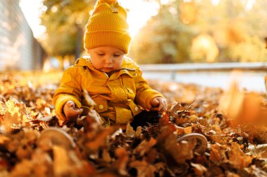 Sonbahar parkında düşen yapraklarla oynayan sevimli mutlu çocuk.