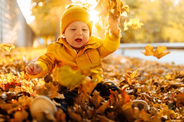 Schattige Gelukkige Jongen Spelen Met Gevallen Bladeren Herfst Park — Stockfoto