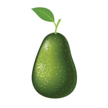 Beyaz arka planda gerçekçi bir vektör avokado çizimi.