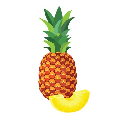 Beyaz arkaplanlı koca bir ananas. Vektör illüstrasyonu.