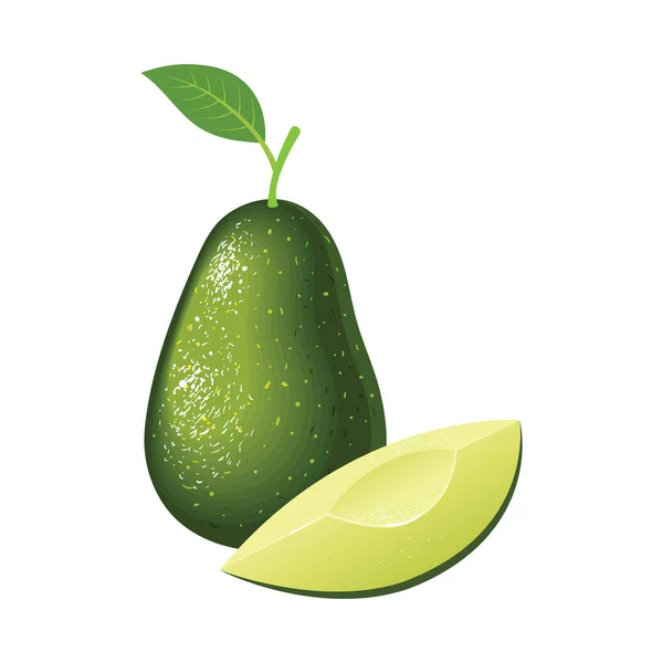 Realistische Vector Avocados Illustratie Gehele Gesneden Avocado Geïsoleerd Witte Achtergrond — Stockvector