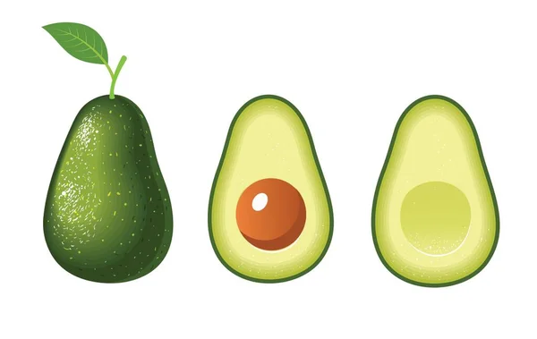 Stampaillustrazione Vettoriale Realistica Degli Avocado Avocado Intero Mezzo Isolato Sfondo — Vettoriale Stock