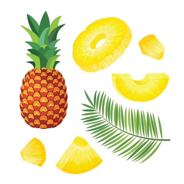 Set Mit Ganzen Ananas Und Ananasstücken Ananasblättern Vektorillustration — Stockvektor