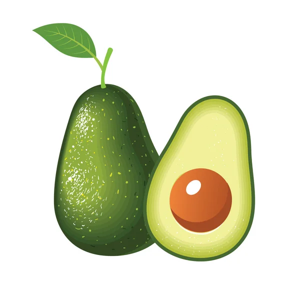Realistische Vector Avocados Illustratie Gehele Halve Avocado Geïsoleerd Witte Achtergrond — Stockvector