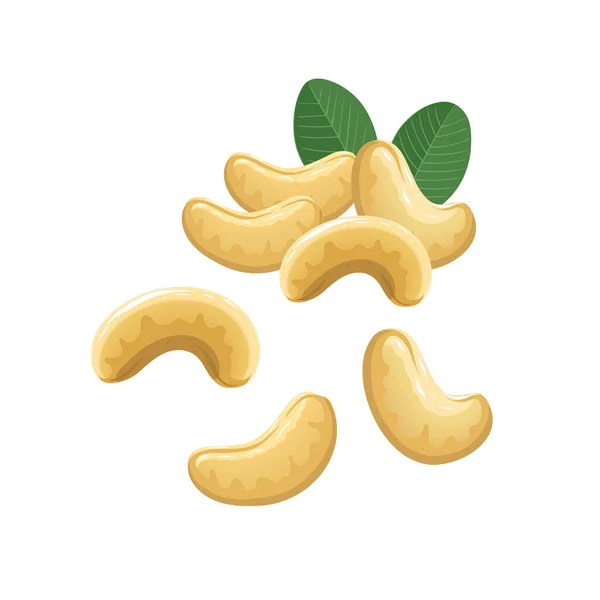 Cashewnoten Met Bladeren Een Witte Achtergrond Vectorillustratie — Stockvector