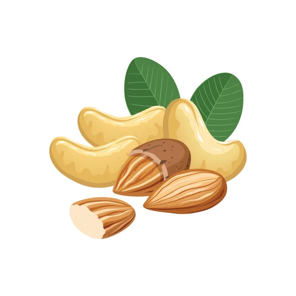 Vector Illustratie Met Cashewnoten Amandelen Vectorillustratie — Stockvector