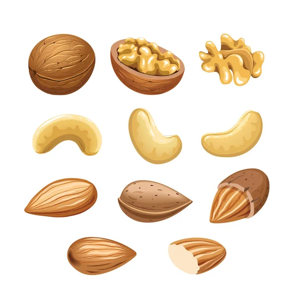 Vector Set Met Cashewnoten Walnoten Amandelen Illustratie Een Witte Achtergrond — Stockvector