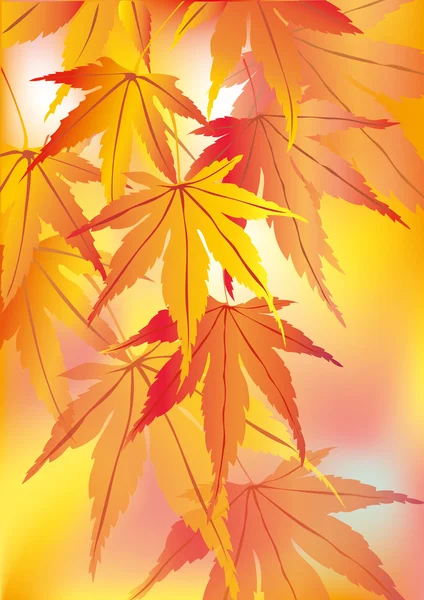 Leaf — Stock Photo, Image