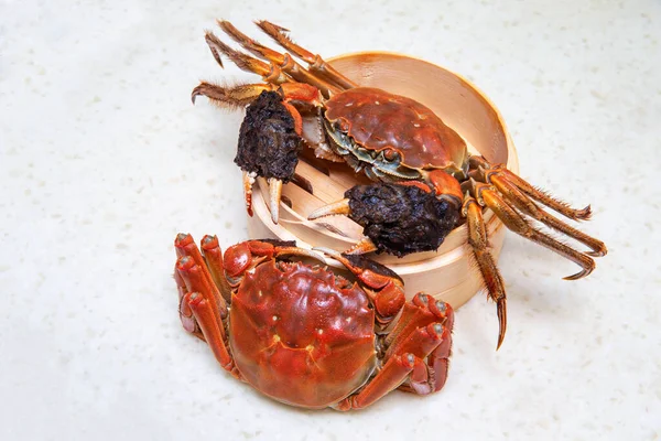 Cooked Chinese hairy crab isolated on white