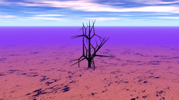 Árvore Morta Paisagem Abstrata — Vídeo de Stock