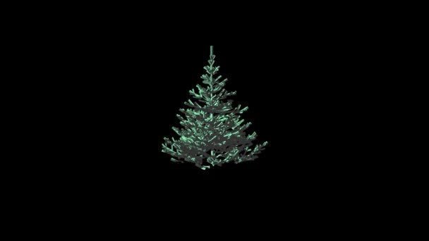 Χριστουγεννιάτικο Δέντρο Περιστροφή Μαύρο Φόντο — Αρχείο Βίντεο