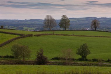 Geniş açılı tepe kırsal alanlar. Omagh yakınlarındaki manzara, Tyrone ilçesi, Kuzey İrlanda