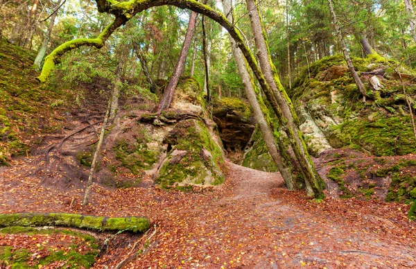 Cave Clay Rocks Wet Autumn Forest Nature Composition Autumn Sunny — Stock Photo, Image