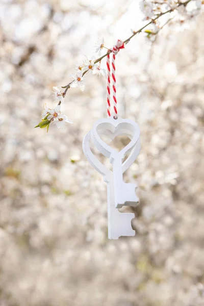 Dwa Białe Drewniane Klucze Wiszące Kwitnącej Gałązce Wiśni Miłość Wiosenny — Zdjęcie stockowe