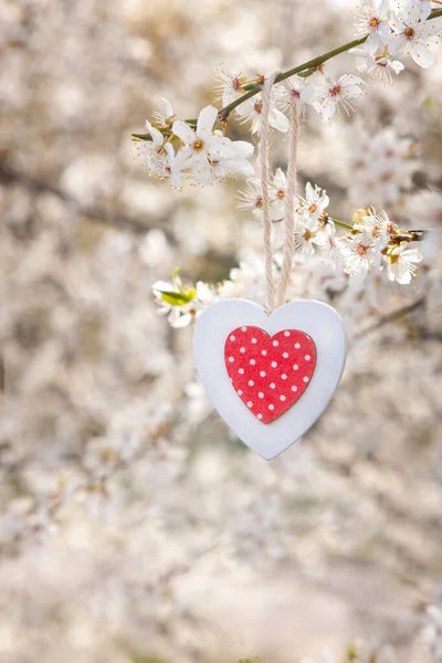 나무로 모양은 벚나무 가지에 발렌타인데이 결혼식 약혼에 자연적 — 스톡 사진