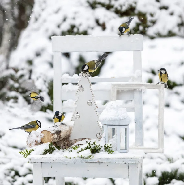 Açık Havada Vahşi Meme Faresi Kuşu Noel Durgun Yaşam Kompozisyonu — Stok fotoğraf
