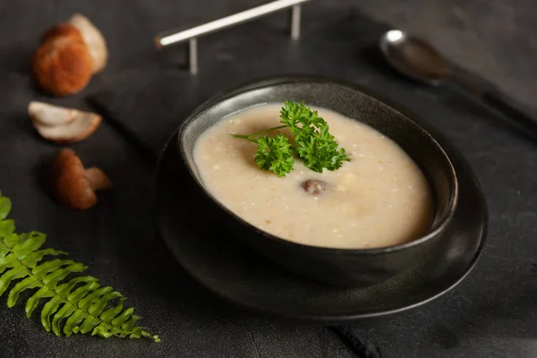 Sahnesuppe Aus Frischen Waldpilzen Steinpilzen Ansicht Von Oben Nahaufnahme — Stockfoto