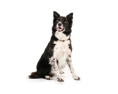 kenar kömür ocağı