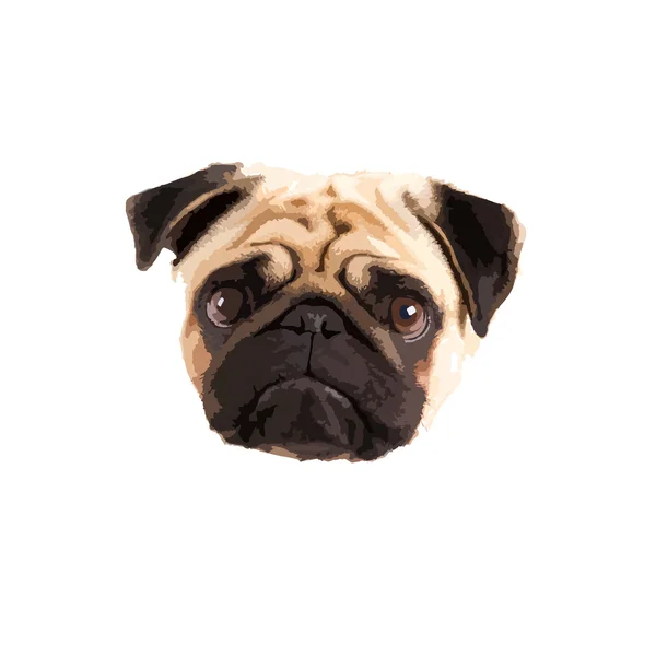 Vector facial Pug — Vector de stock