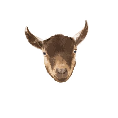 Pygmy Goat head vector clipart