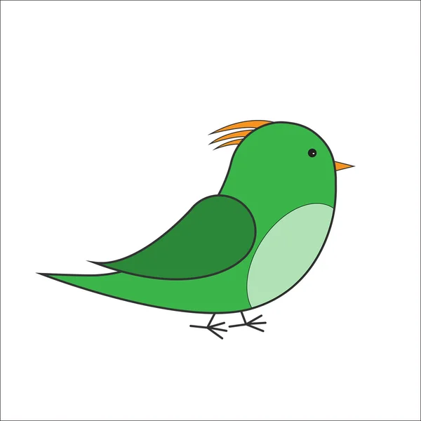 Green bird vector — Stock Vector