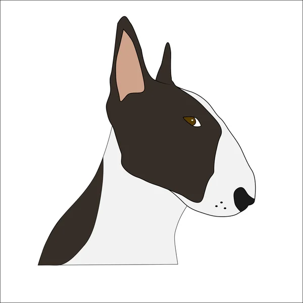 Bullterrier-Vektor — Stockvektor