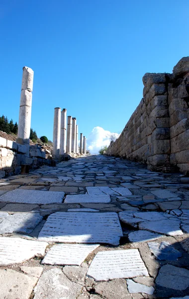 Efesos, Izmir, Tyrkiet, Mellemøsten - Stock-foto