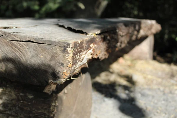 Dřevěná Lavička Pro Odpočinek Lese Létě Foto Dřevěné Lavičky Prken — Stock fotografie