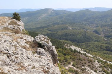 Kırım 'daki dağ vadisindeki uçurumun yüksekliğinden güzel manzara Kırım' daki dağların güzel manzarası. Uçuruma yakın bir yer, çalılar ve yeşil Litvanya 'lı çimenler..