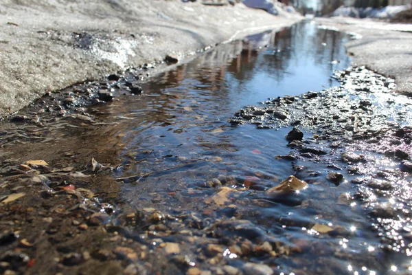 Early Spring Stream Flows Snow Sunny Day Photo Spring Stream Stock Image