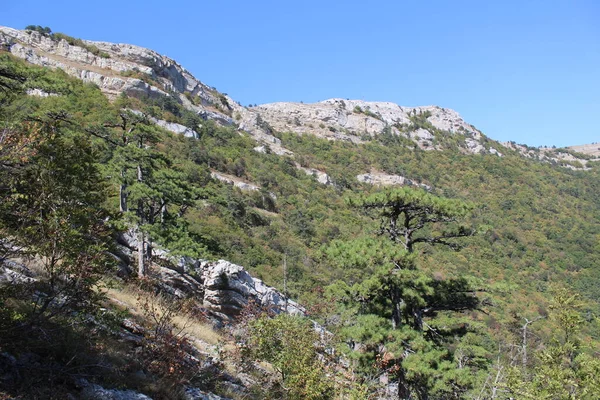 mountain landscape in the mountains in clear weather in the Crimea / photo descent from the mountain. there are bushes and trees on the mountain. mountain landscape in the Crimea.blue clear sky.layers of rock.