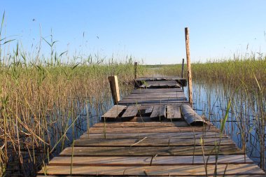 Eski ahşap bir köprü ve tahtadan yapılmış sazlıklar ve tahta destenin fotoğraflarıyla dolu bir göl. Göldeki eski rıhtımda. Güzel bir kırsal bölge. Bir gölet ve sazlıklar ile yaz manzarası.