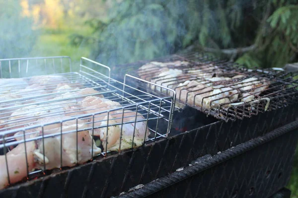 fresh chicken meat is grilled during a picnic / photo steak that is fried on the grill. the meat is fresh , chicken. picnic in the open air