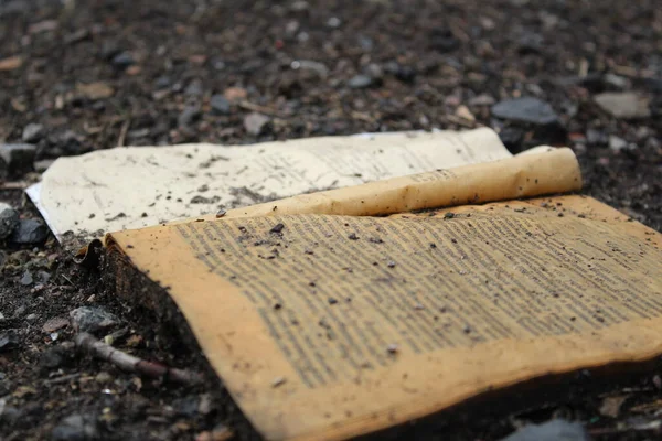 Çamurda ve açık bir kitabın yakın plan fotoğrafında ıslak yaprakları olan açık eski bir kitap. Şu an yerde yatıyor. Kitap açılmıştır. Çarşaflar ıslak. Üzerlerine kum atılır..