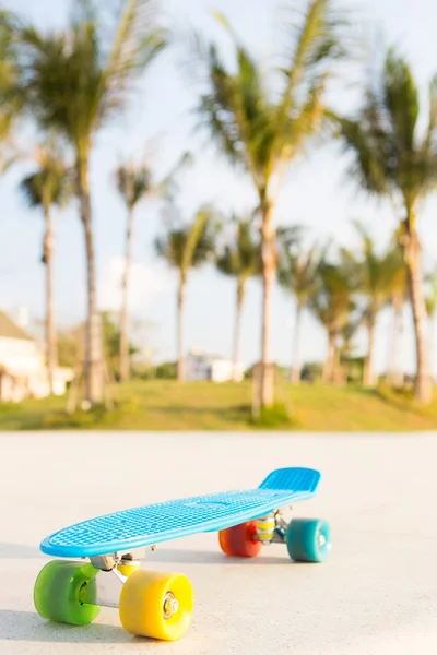 Lyseblå longboard penny board med flerfarvede hjul klar - Stock-foto