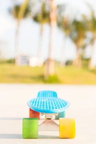 Ljus blå longboard penny styrelsen med mångfärgade hjul redo — Stockfoto