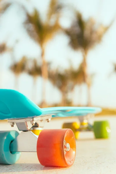 Tablero de penique de longboard azul claro con ruedas multicolores listo —  Fotos de Stock