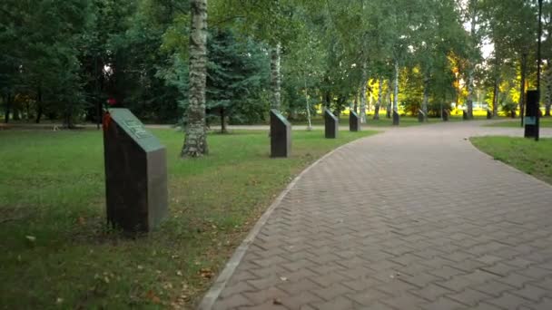 公园里有纪念伟大的爱国战争胜利的纪念碑 — 图库视频影像