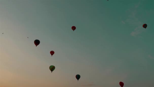 日没時に市内上空の熱気球 — ストック動画